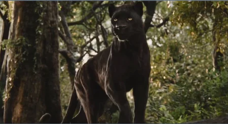 Black_Jag