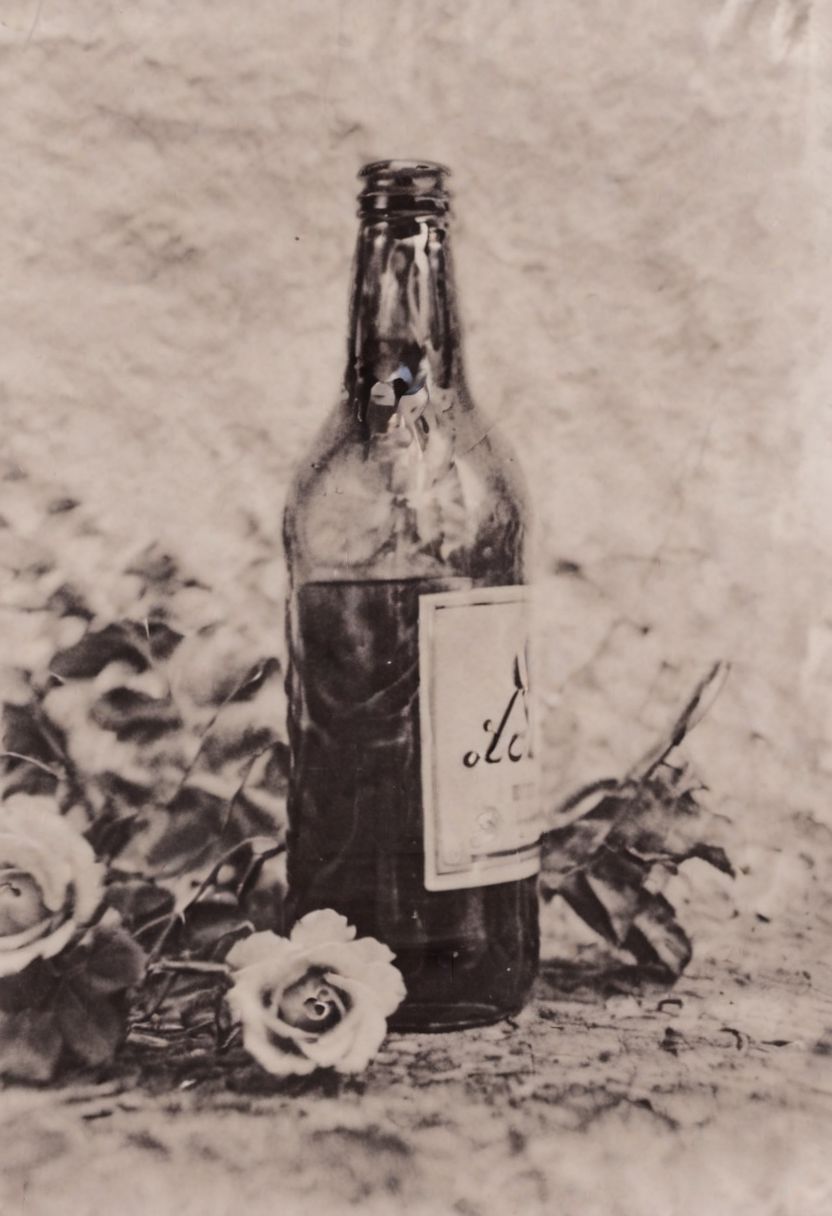 AgfaBroviraSpeedBS310RC2, instagram photo,a bottle with a flower, hard shadows, film grain