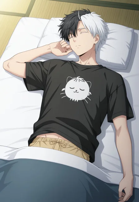 masterpiece,best quality,amazing quality, source_anime,
sakuharuka, 1boy, male focus, solo, closed eyes, split-color hair, black hair, white hair, shirt, t-shirt, shorts, futon, lying, sleeping,