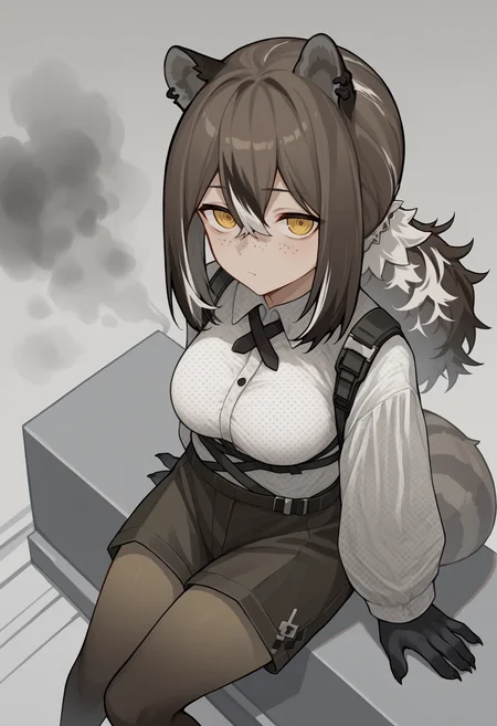 score_9, score_8_up, score_7_up, source_anime, rdef, raccoon girl, raccoon ears, animal ears, yellow eyes, freckles, brown hair, white hair, multicolored hair, hair between eyes, long hair, ponytail, animal hands, raccoon tail, tail, piercing, ear piercing, cross tie, white shirt, polka dot shirt, long sleeves, shorts, black shorts, brown pantyhose, breasts, fog, smoke, white flower, looking at viewer, from above<lora:RobinPDXLv6-20:1>