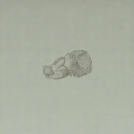 Face 1.1