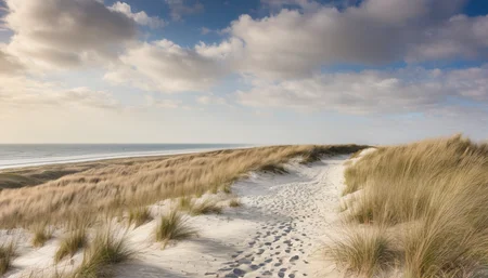 Coastal Dunes Photography,scenery,outdoors,no humans,footprints,horizon,shore,sky,day,