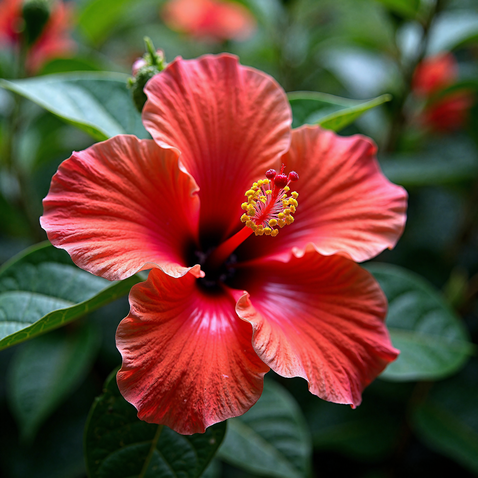 Professional photography, 35mm film, sharp lens, closeup photo of a red hibiscus flower. Daytime spring garden. Professional lighting and color grading for a clean sharp film look. Extreme details like in a professional macro photography.