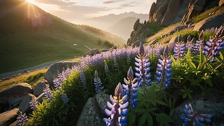 A cinematic scenic photography of the view On a secluded mountain valley filled with wild lupine blooming among boulders. At summer dusk, golden light filters through drifting mist, lupine glow violet, and insect choruses rise in the hush. ,, masterpiece, best quality, amazing quality, very aesthetic, high resolution, ultra-detailed, absurdres, scenery, film grain, HDR, 8K, high contrast, realistic, cosplay, muted lithing, sharp focus, (chromatic aberration), fine details,