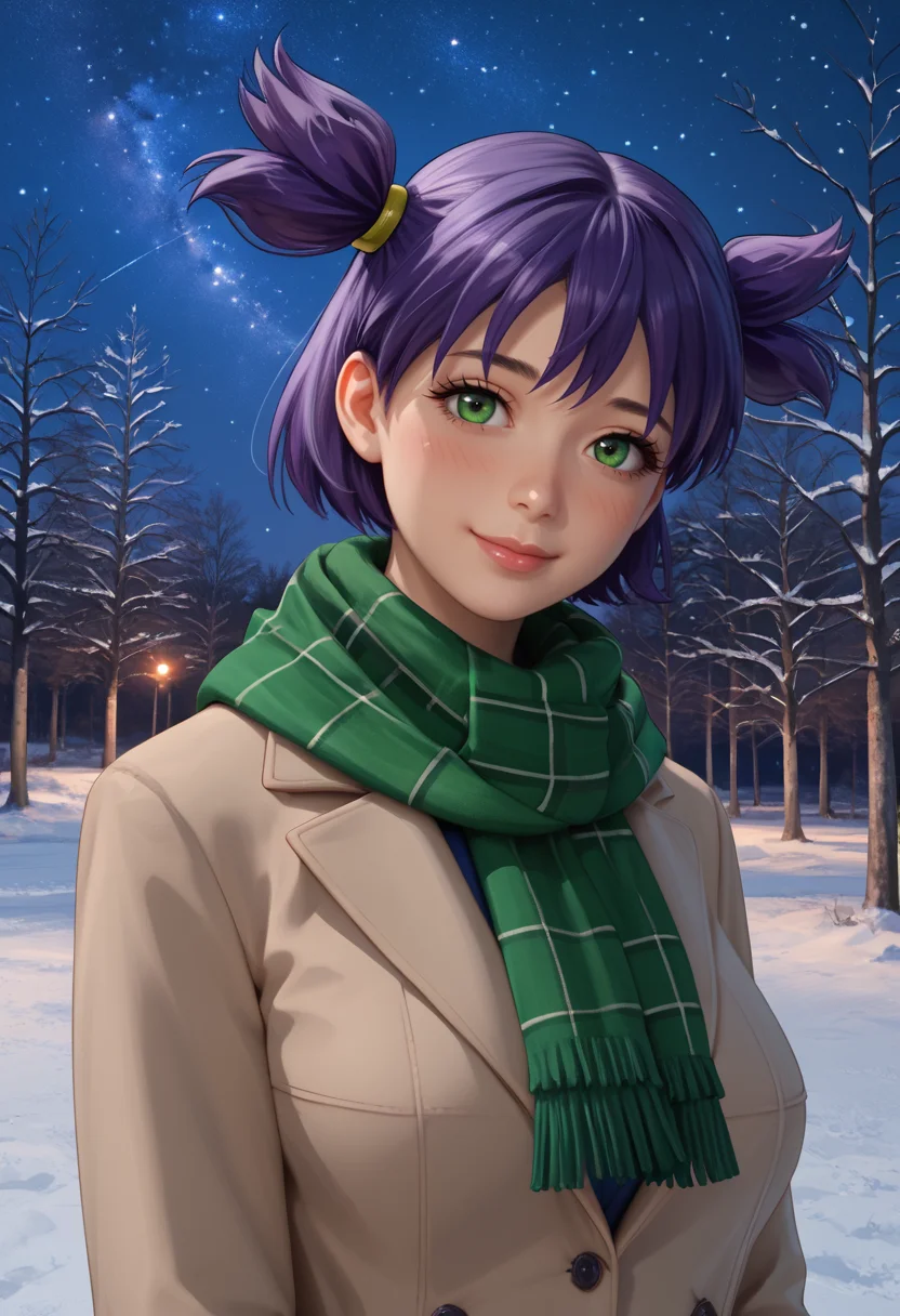 8k, 4k, 3d, realistic, realism,
score_9, score_8_up, score_7_up,
best quality, masterpiece, ultra detailed,
162 cm height, 18 years old,
<lora:Expressive_H:1>, light smile, (blush:1.3), closed mouth, lips, nose,
looking at viewer, from side,
<lora:Everlasting_Summer_Lena_by_GraffMetal_V1.2:1>, lena, purple hair, green eyes, short hair, short twintails, twintails, two side up, bangs, solo, large breasts,
scarf, coat, night, sky, green scarf, gloves, tree, star, starry sky, night sky, winter clothes, outdoors, green gloves,
amazing background,