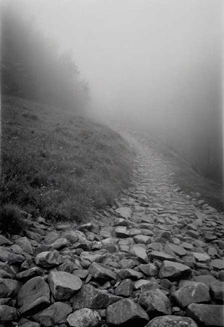 KB_Kentmere400, instagram photo, a foggy mountain,  soft shadows, film grain