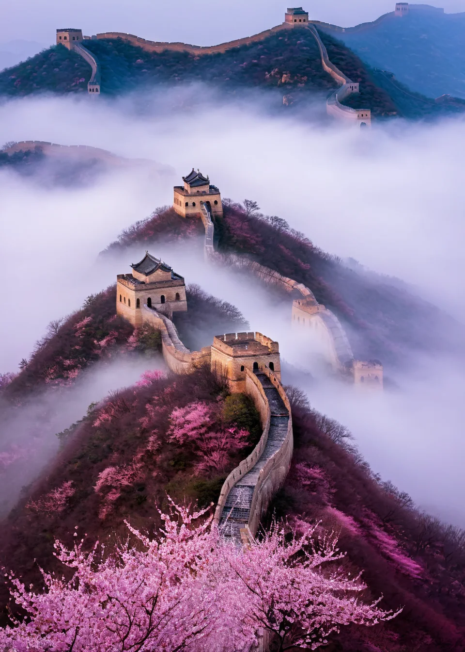 <lora:é¿å:1>,The Great Wall, no humans, scenery, tree, outdoors, cloud, sky, cherry blossoms, building, architecture, house, cloudy sky, fog, east asian architecture, nature, landscape, masterpiece, best quality,