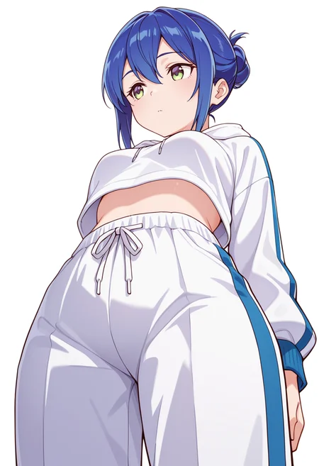 masterpiece,high quality details,absurdres,
<lora:Mamiya_Kanoko:0.8>
kanoko_cnr, 1girl, blue hair,hair between eyes, sidelocks, single hair bun,, simple background, white background, from below,solo,, d:,, gym shirt,cropped hoodie ,pleated pants, ,checkered legwear,
