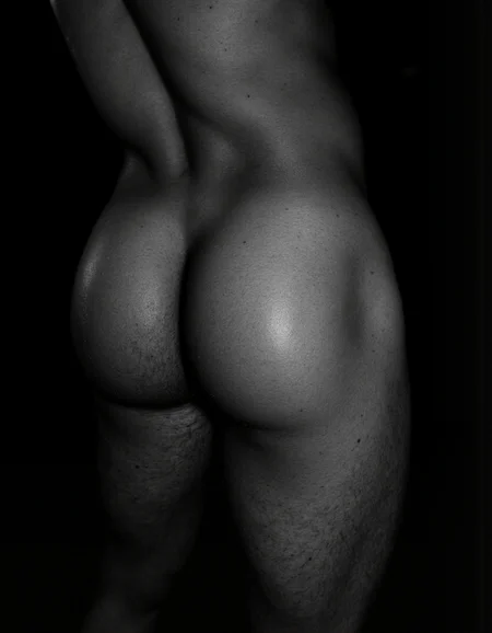 Preview 50258237