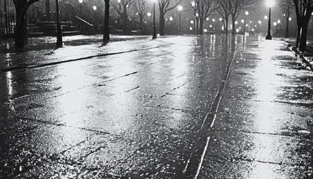 <lora:50s_Noir_Movie-000005:1> ArsMovieStill, 50s Noir Movie Still, The image is a black and white photograph of a street at night. The street is wet and there are several lampposts on the right side of the image. The lamps are turned on casting a warm glow on the trees on both sides of the street. The trees are bare with no leaves and the street is lined with other street lamps. The sky is dark and the ground is covered in raindrops. The image is taken from a low angle looking down on the street and the trees. The overall mood of the photograph is peaceful and serene.