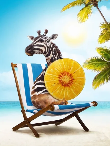 creative bio poster,animal, sun loungers, beach<lora:åæ:0.8>