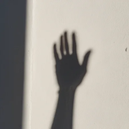 raw photo, Shadow of hand, white wall, <lora:Shadow:1>
