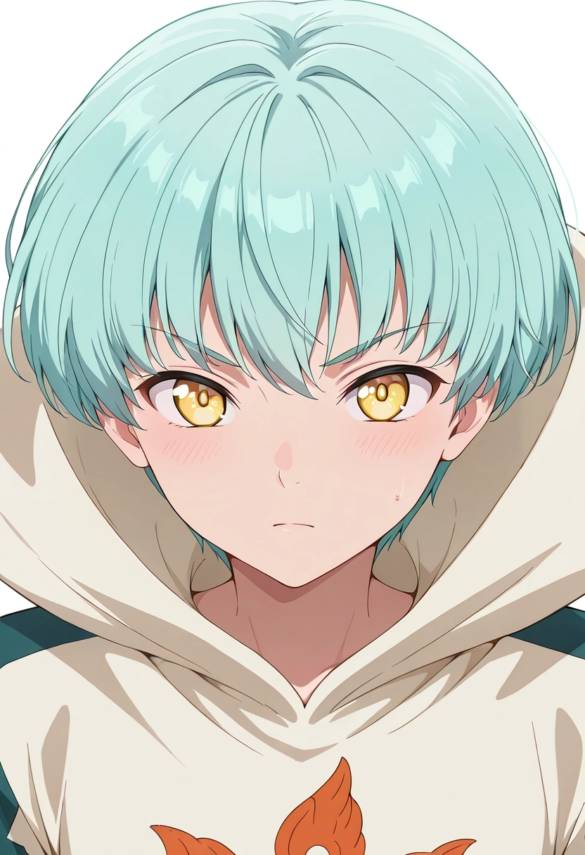 masterpiece, best quality, , , , 1boy, solo, male focus, <lora:sariel_nnt_ilxl:0.98>, sariel_nnt, aqua hair, yellow eyes, short hair, , ,