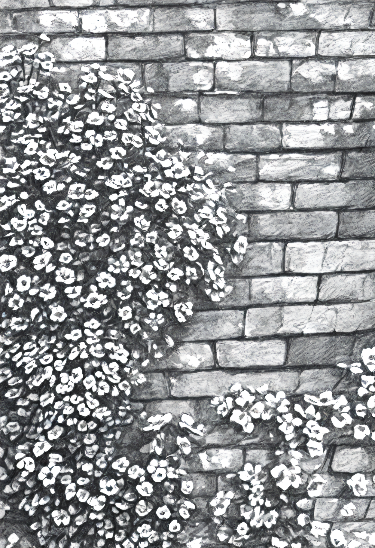 <lora:SketchArt_Epoch_10:1.0>, greyscale, monochrome, sk3tch, no human, no human, flower, brick wall, scenery, very awa, masterpiece, best quality, highres, absurdres