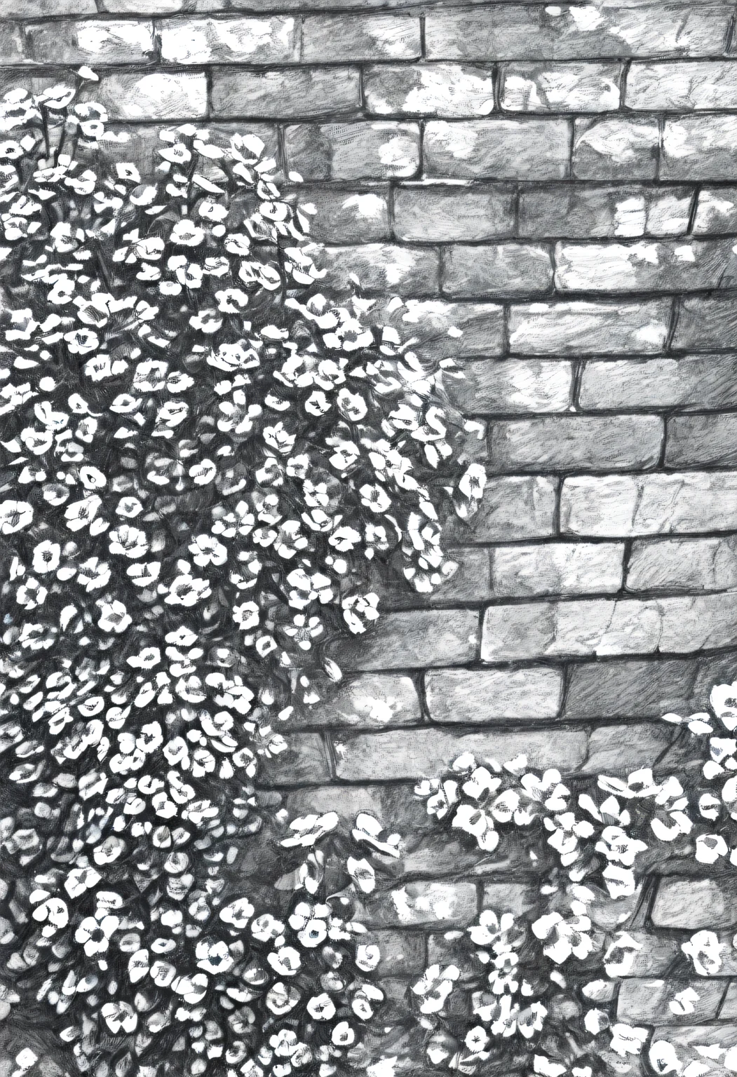 <lora:SketchArt_Epoch_10:1.0>, greyscale, monochrome, sk3tch, no human, no human, flower, brick wall, scenery, very awa, masterpiece, best quality, highres, absurdres