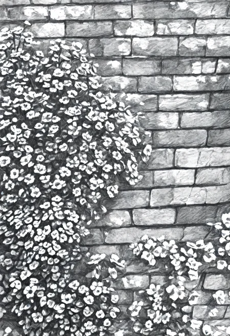 <lora:SketchArt_Epoch_10:1.0>, greyscale, monochrome, sk3tch, no human, no human, flower, brick wall, scenery, very awa, masterpiece, best quality, highres, absurdres