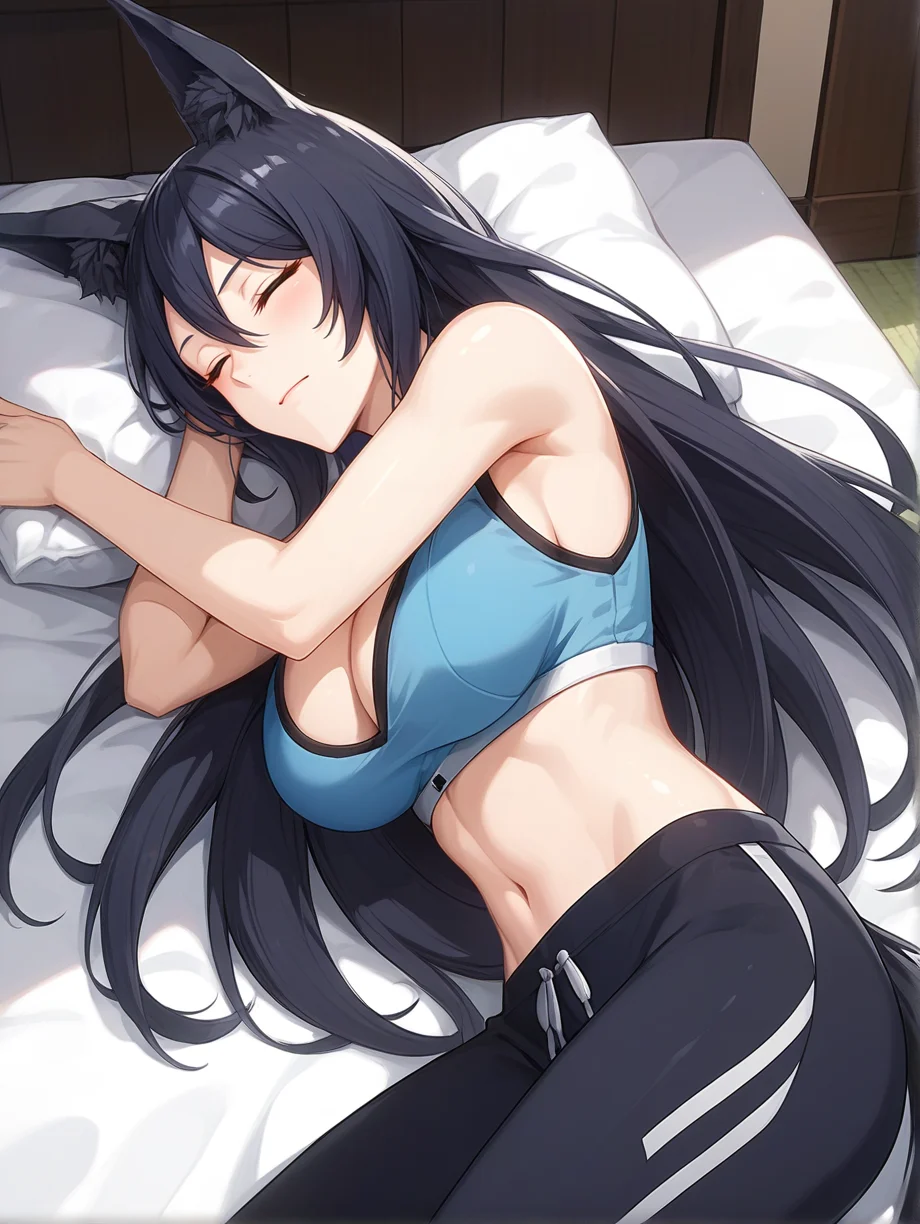 score_9, score_8_up, score_7_up, source_anime
olivia vel vine, animal ears, animal ear fluff, black hair, long hair, closed eyes, 1girl, solo,happy, cleavage, black sweatpants, blue sports bra, lying on side, sleeping, tail
in the mountains, muddy way
<lora:Expressive_H:0.2> <lora:housechores-guy-PONYv1:0.2> <lora:StS_PonyXL_Detail_Slider_v1.4_iteration_3:0.2> <lora:olivia vel vine v0.1:0.75>