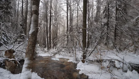 Winter forest,<lora:1:0.5>,no humans,masterpiece,best quality,, masterpiece, best quality,