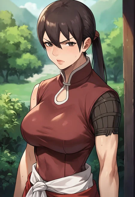 score_9, score_8_up, score_7_up, masterpiece, source_anime, 1girl, solo, ct_balsa, large breasts, ponytail, sleeveless shirt, sash, looking at viewer, outdoors, sunny, portrait,cowboy shot,  v-shaped eyebrows, sweat, shiny skin, <lora:BalsaYonsa_Pony_ct:1>