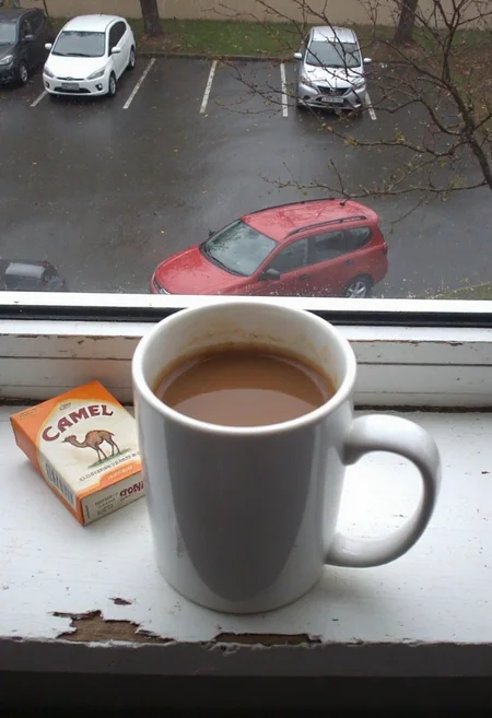 d1g1cam, amateur photo, low-lit, overexposure, Low-resolution photo, shot on a mobile phone, noticeable noise in dark areas. Overhead view of a white mug filled with coffee placed on a distressed, white-painted wooden window sill, accompanied by a pack of Camel cigarettes. The window sill exhibits signs of wear and aging, with paint peeling off at the edges. Outside the window, a rainy urban scene is visible, featuring parked cars in a lot, including a prominent red car and a white car. Bare tree branches and wet pavement indicate a dreary, overcast day. The juxtaposition of indoor still life elements with the gloomy urban exterior creates a contrasting visual narrative