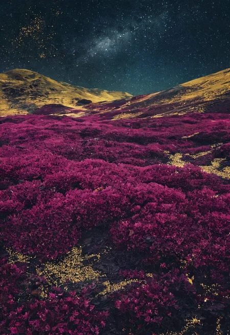landscape of a (Celestial Plains of the Starry Fields:1.3) , Stone, hillside, Anime screencap, Islandpunk, side lit, Depth of field 100mm, Magenta background, intricate, <lora:novuschroma27 style_b:1> novuschroma27 style, gold foil, cool colors, inspired, detailed, romantic, dynamic dramatic beautiful full taking, grand illumination, fine artistic composition