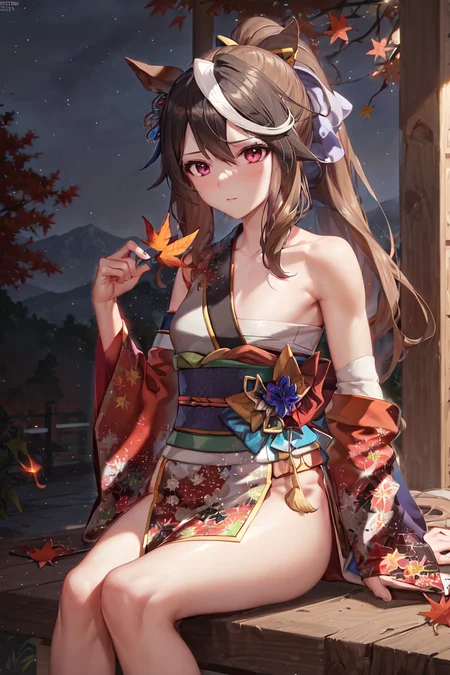 masterpiece, best quality,
symboli rudolf \(umamusume\),
(chest sarashi:1.2),
autumn leaves, autumn, night sky, sitting, holding leaf,
official alternate costume, (hadanugi dousa:1.2), japanese clothes, open kimono, detached sleeves, single sleeve, ponytail, single bare shoulder, long sleeves, obi, sash, <lora:sybmoli_rudolf_locon:0.6>
