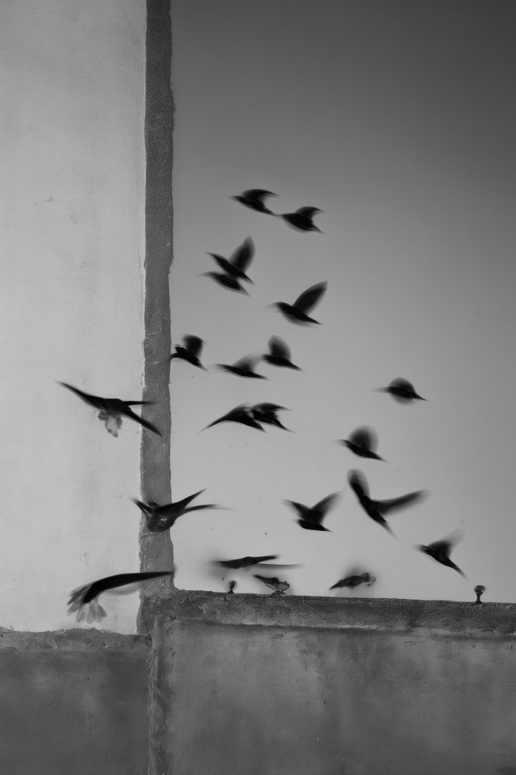 <lora:Photographer Elena Helfrecht Style:1>Photographer Elena Helfrecht Style - a flock of birds flying around a building next to a wall with a gutter on it