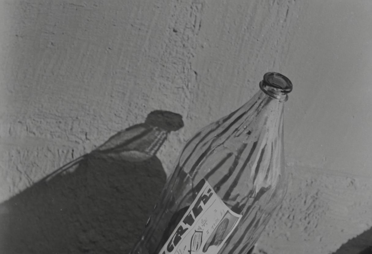 KB_ektachrome_BW, instagram photo,a bottle with a flower, hard shadows, film grain