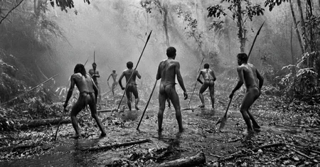 black and white photograph of few indigenous people hunting with spears and sticks in the amazonian rain forest, insane details, dramatic lights, high definition, 35mm camera, film photography style, heavy grain, ral-chrosc-bw, masterpiece, national geographic style, strong vignette, high contrast