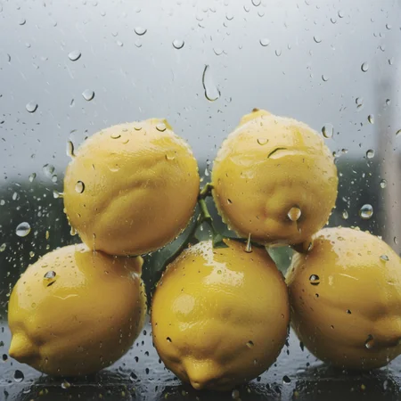 lemons behind rain on glass<lora:Rain_on_Glass_XL:1>