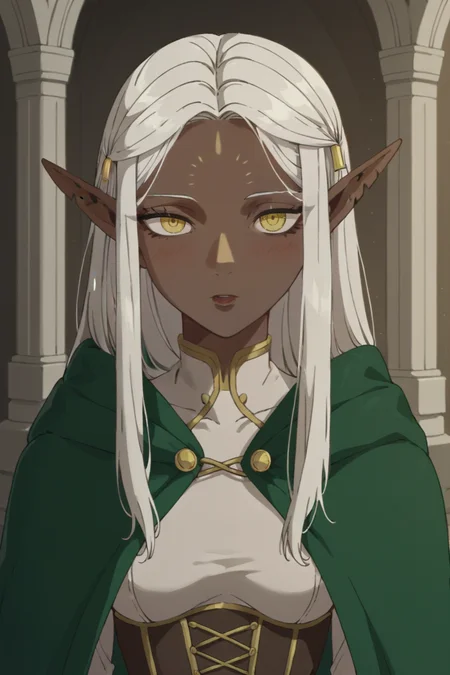 score_9, score_8_up, score_7_up, source_anime, 1girl, prefect lighting, very aesthetic, intricate details, highly detailed background, masterpiece, high quality, solo,
<lora:Cithis_V1.3-000007:.8>, dark elf, pointy ears, elf, forehead mark, grey skin, dark skin, dark-skinned female, yellow eyes, white hair, Cithis_V1.2, long hair, half-closed eyes, notched ear,
POV, front view, full body, white dress, gold corset, green cloak, gold trim dress, standing,
Sunny, room, inside,
blush, expressionless, parted lips, looking at viewer,
(Beautiful, medium Breasts:1.2), natural breasts,