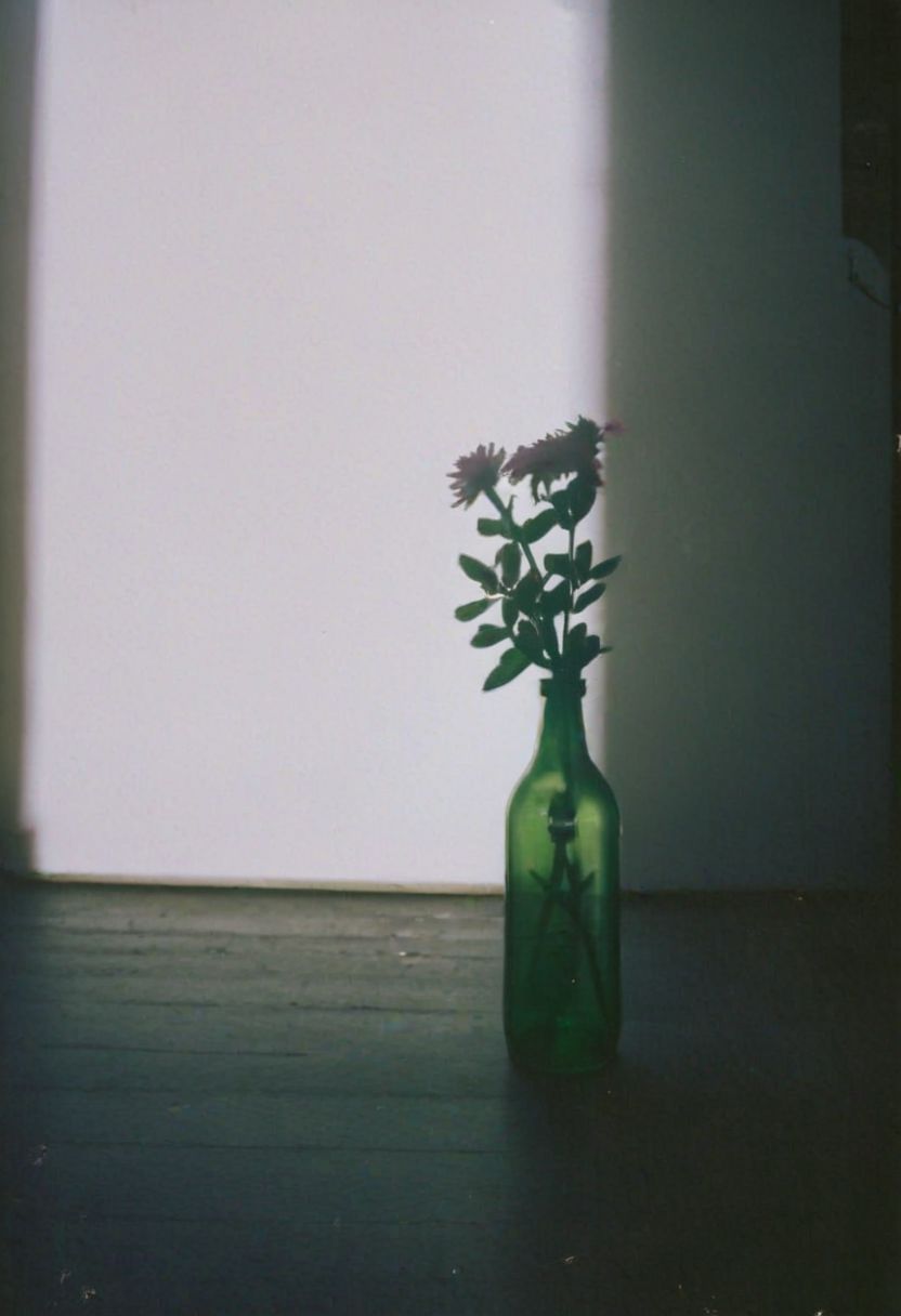 FP100C, instagram photo,a bottle with a flower,  hard shadows, film grain