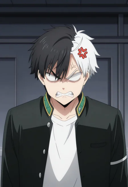 masterpiece,best quality,amazing quality, source_anime,
sakuharuka, 1boy, male focus, solo, blank eyes, split-color hair, black hair, white hair, school uniform, jacket, black jacket, open jacket, shirt, white shirt, angry, anger vein, parody,