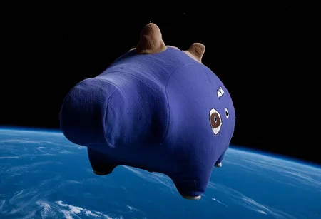 a chonkasaurus in space