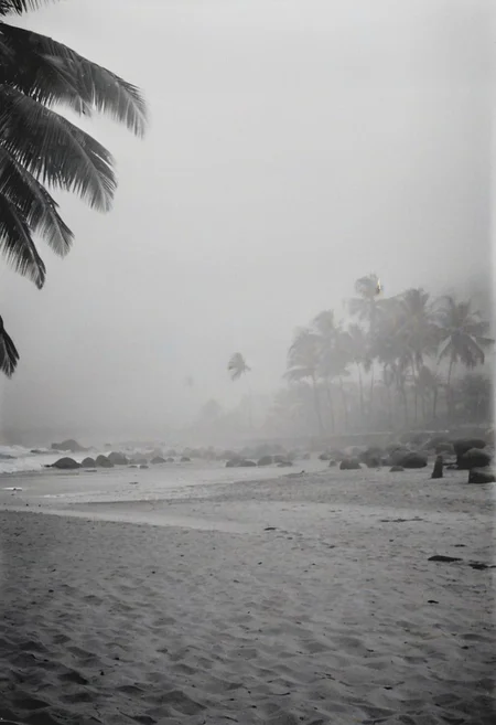 KB_Kentmere400, instagram photo, a foggy beacht in sri lanka, soft shadows, film grain