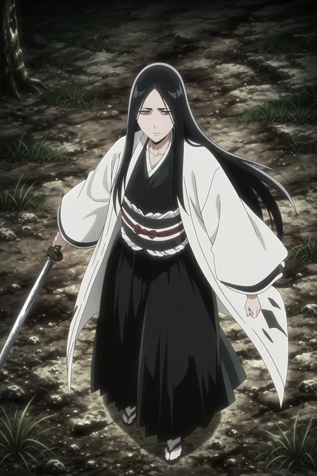 anime screencap, anime coloring, detailed face, masterpiece, best quality, very aesthetic, absurdres, volumetric lighting, official style, amazing quality, ultra detailed,  highres, amazing quality, scenery, beautiful detailed hair, beautiful detailed eyes, defined fingers,
 <lora:Retsu_Unohana_Bleach_Thousand-Year_Blood_War:1>
Retsu long hair (appearance), Retsu Unohana (character), 1girl, japanese clothes, sword, haori, solo, katana, black hair, holding weapon, holding sword, long hair, grass, holding, sandals, kimono, view from above, serious expression, looking at the viewer
