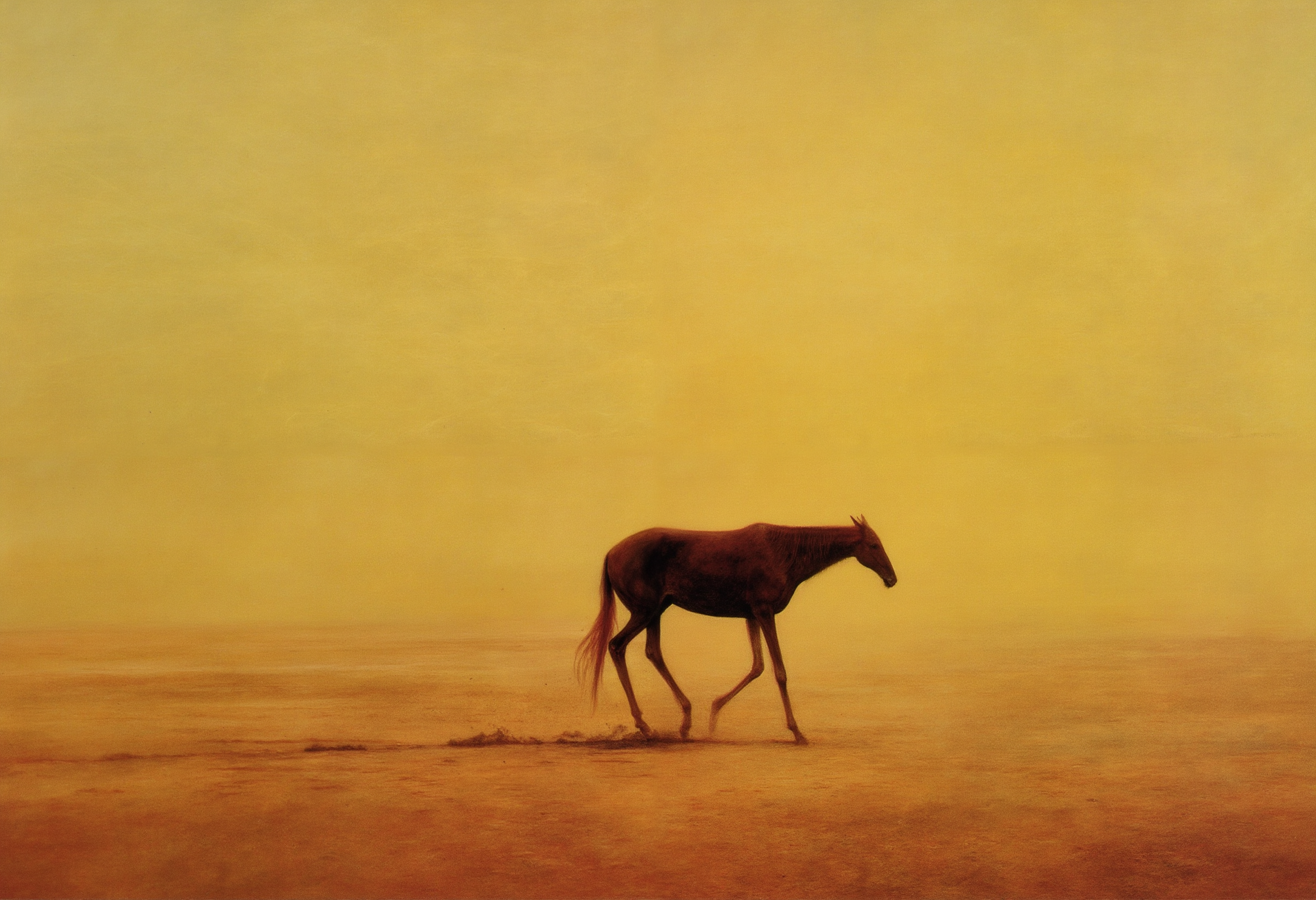 <lora:Flux\Styles\Beksinski 2\Beksinski.safetensors:0.9:0.9>, a horse with no name slowly walking in the desert
