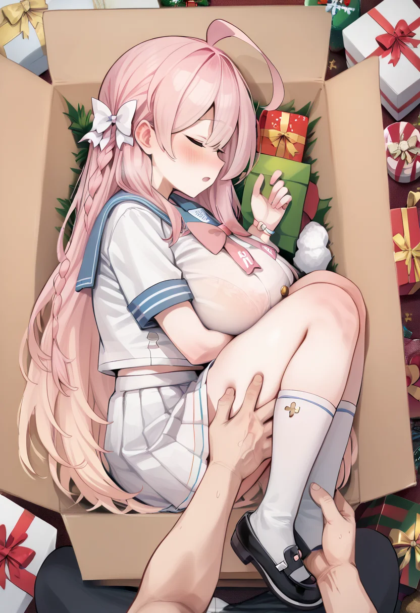 score_7_up, source_anime, uncensored BREAK
<lora:full_encasement:1> in container, fetal position, box, gift, gift box, christmas, pov hands, 1girl, 1boy, sleeping, closed eyes <lora:hanako_blue archive_PONY_last:1> hanako-default, || hanako \(blue archive\),large breasts,green eyes, pink hair,long hair,braid,ahoge,school uniform,sailor collar,white pleated skirt, kneehighs,mary janes