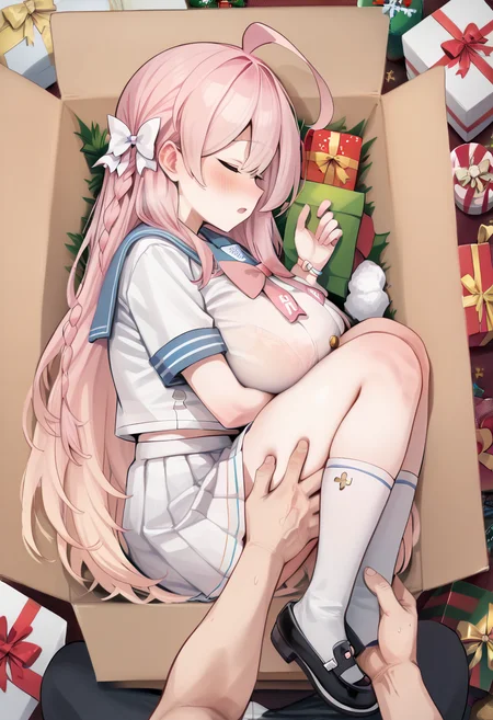 score_7_up, source_anime, uncensored BREAK
 <lora:full_encasement:1> in container, fetal position, box, gift, gift box, christmas, pov hands, 1girl, 1boy, sleeping, closed eyes <lora:hanako_blue archive_PONY_last:1> hanako-default, || hanako \(blue archive\),large breasts,green eyes, pink hair,long hair,braid,ahoge,school uniform,sailor collar,white pleated skirt, kneehighs,mary janes