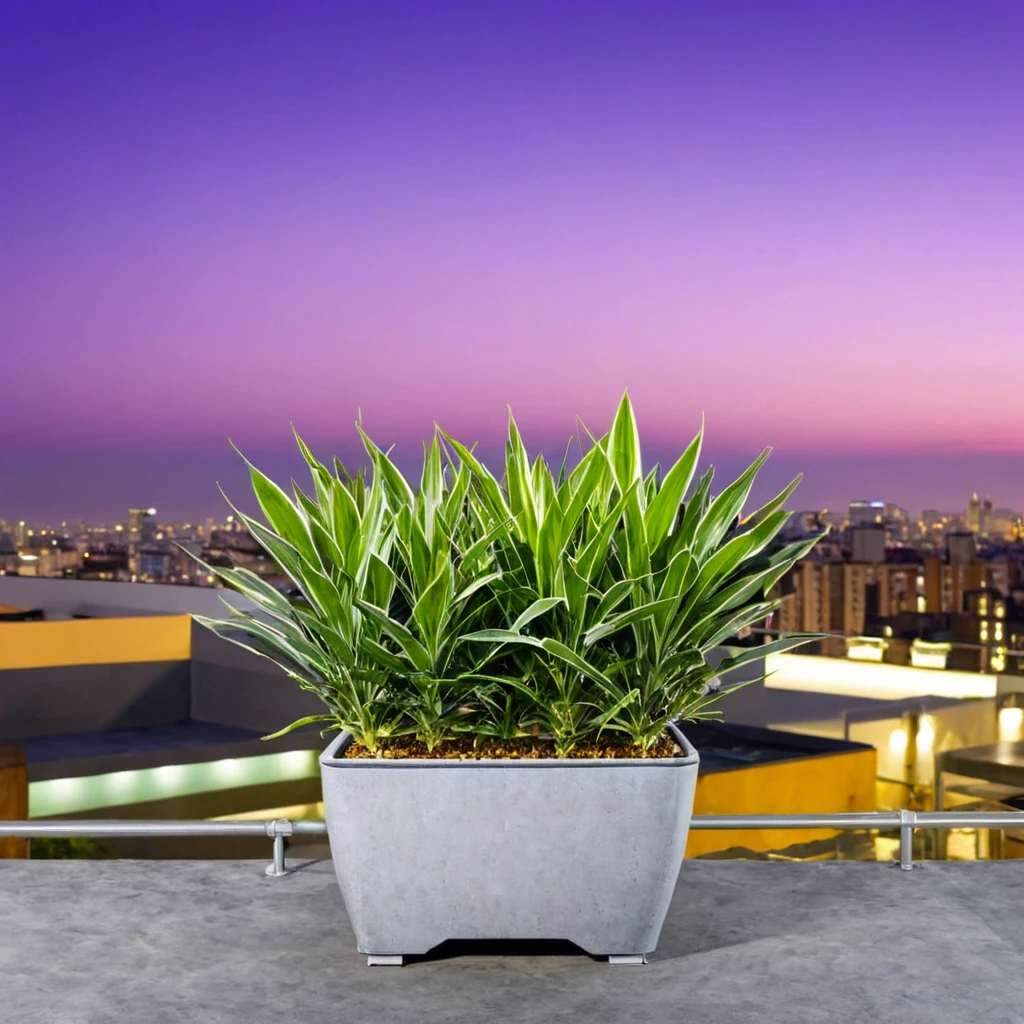 (plant pot showcase) <lora:27_plant_pot_showcase:1.1>
Purple background,
high quality, professional, highres, amazing, dramatic,
(Urban rooftop terrace and city views:0.5),