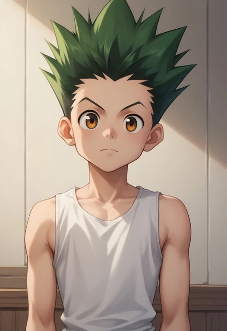 score_9, score_8_up, score_7_up, source_anime, highly detailed,
gonfreecs, solo, 1boy, male focus, green hair, spiked hair, upper body, tank top, white tank top,
indoor,