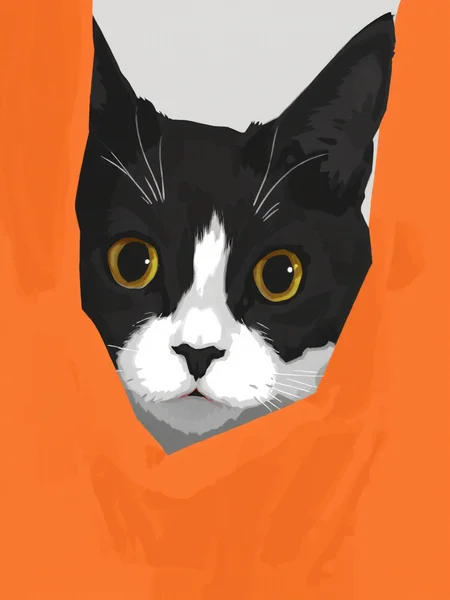 This is a digital illustration featuring a close-up portrait of a black and white cat. The cat, with strikingly expressive, large, round eyes and a curious expression, is peering out from behind a piece of orange fabric, likely a curtain or blanket. The cat's fur is predominantly dark grey to black, with distinct white patches on its face, particularly around the nose and under the chin, and a white stripe running down its forehead. Its ears are perked up, and its whiskers are clearly visible, adding to the lifelike detail of the illustration.