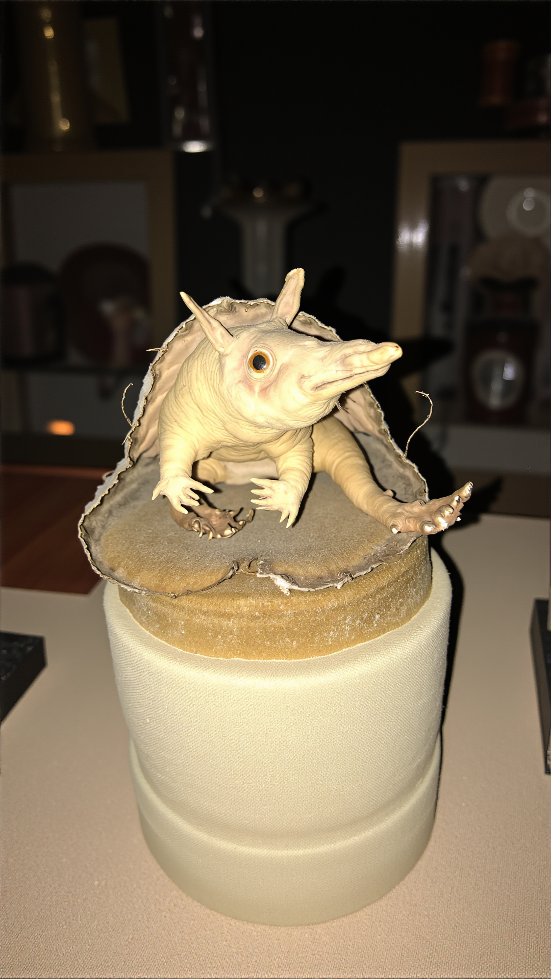 A photo of a badtxdrmy, bad taxidermy, A baby armadillo sits atop a worn, velvet-covered pedestal in a dimly lit, dusty antique shop. Its body appears slightly lopsided, with one leg twisted at an unnatural angle. The armadillo's shell is glossy and awkwardly positioned, as if it's been forced onto the creature's back like a poorly fitted hat. The armadillo's beady eyes seem to stare off into space, and its tiny mouth is frozen into a grotesque, toothy grin. A few stray threads from the pedestal's velvet upholstery are stuck to the armadillo's shell, giving it a haphazard, amateurish appearance.<lora:BadTaxidermiFlux:1>