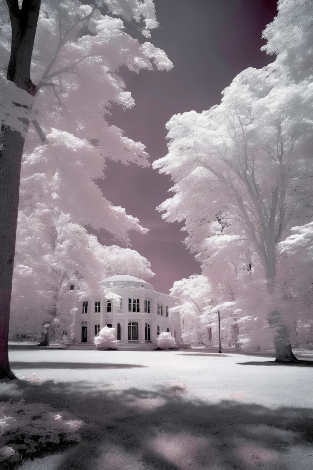 <lora:Infrared Photos:1>Infrared Photos - an 8k photograph of Seamon park in Saugerties New York in infrared as if it were photographed