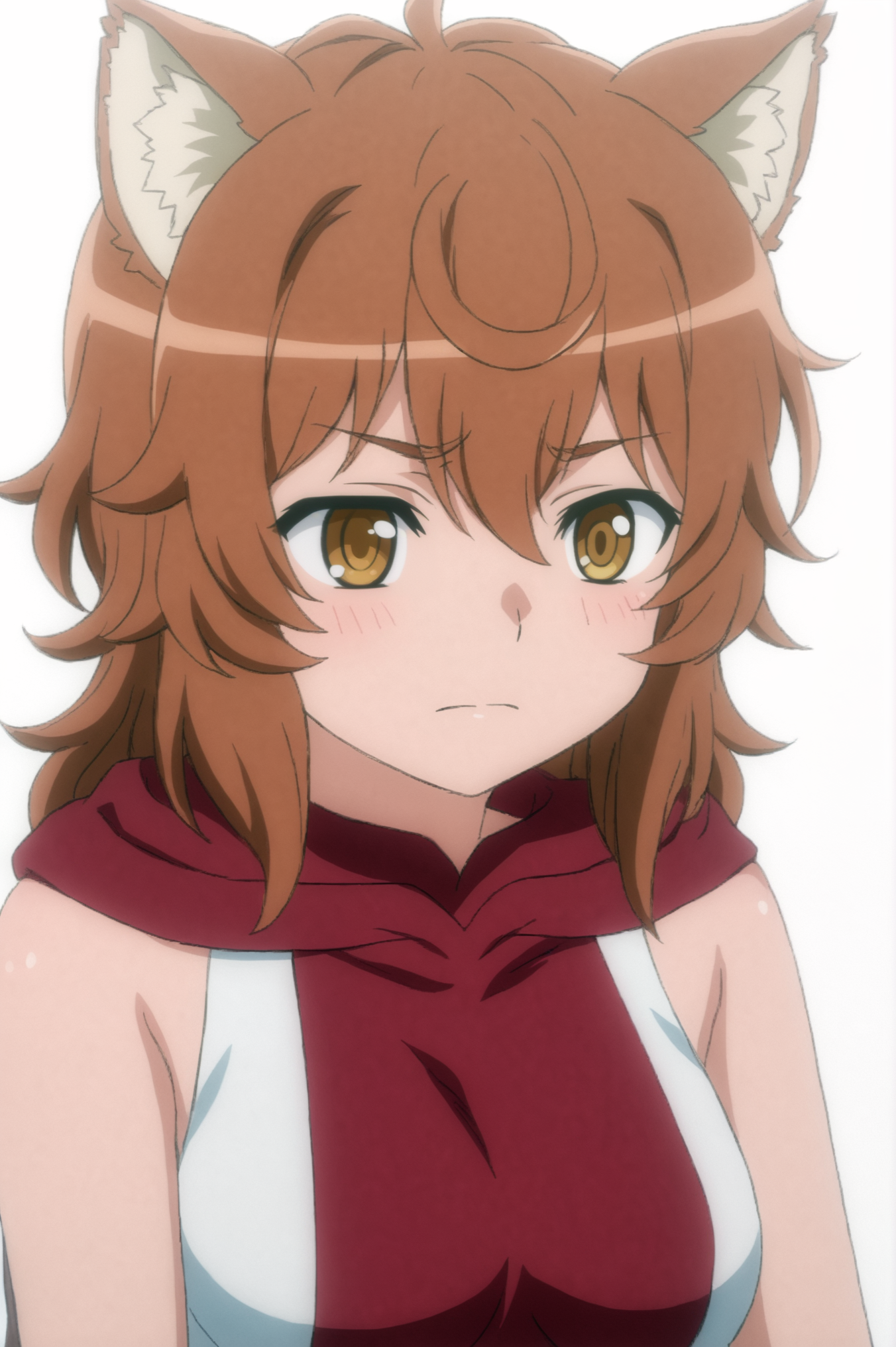 <lora:Liliruca_Arde:0.7>, Liliruca Arde, upper body, white background, animal ear fluff  <lora:sdxl_lightning_4step_lora:1>