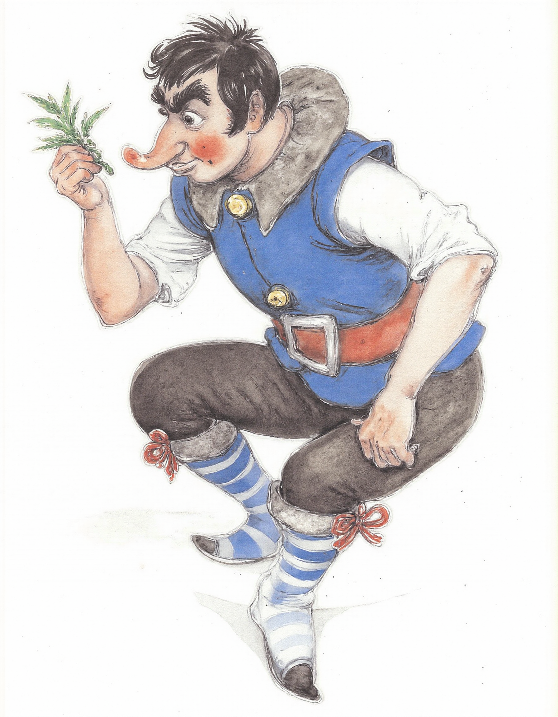 <lora:lv:1>, This image is a watercolor illustration depicting a whimsical, cartoon-like figure of a man with a mischievous expression. The man has a round, bulbous nose, a large, pointed chin, and tousled black hair. He is dressed in a bright blue sleeveless vest over a white shirt, secured with a wide, red belt. His trousers are dark blue, and he wears knee-high, striped socks in shades of blue and white, tied with red ribbons at the top. The man is standing on one leg, with the other leg bent at the knee, giving him a playful, lopsided stance. He holds a small, green, leafy plant in his right hand, which he appears to be examining closely., 
The background is plain white, with no additional elements or scenery, making the figure the focal point. The textures in the watercolor are soft and fluid, with visible brushstrokes and blending, giving the illustration a hand-drawn, organic feel. The colors are vibrant and cheerful, with the blue vest and red belt standing out prominently against the neutral tones of the man's shirt and the dark blue of his trousers. The overall style is whimsical and playful, reminiscent of children's book illustrations from the late 19th to early