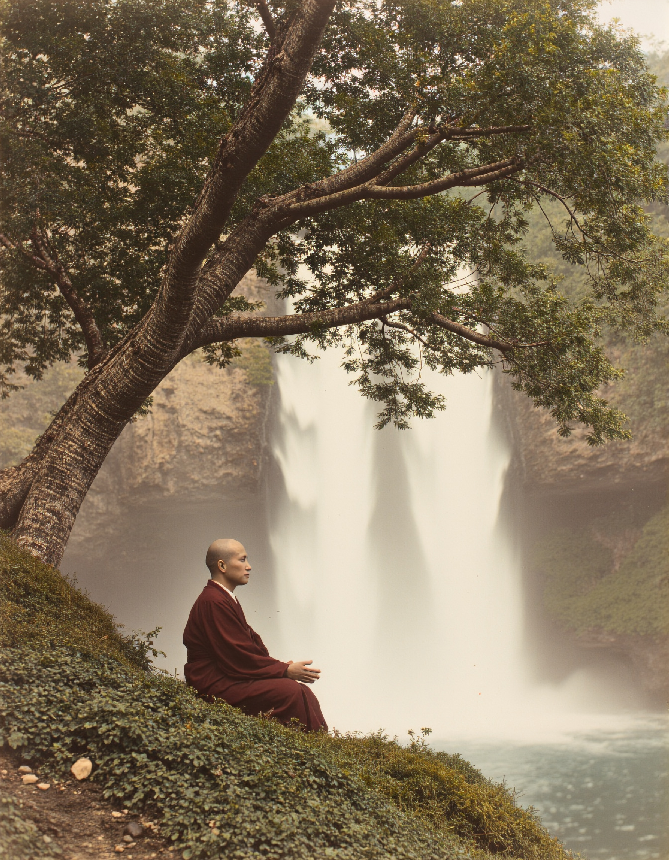 OldJapan style photo of a monk meditating under a tree in front of a waterfall
