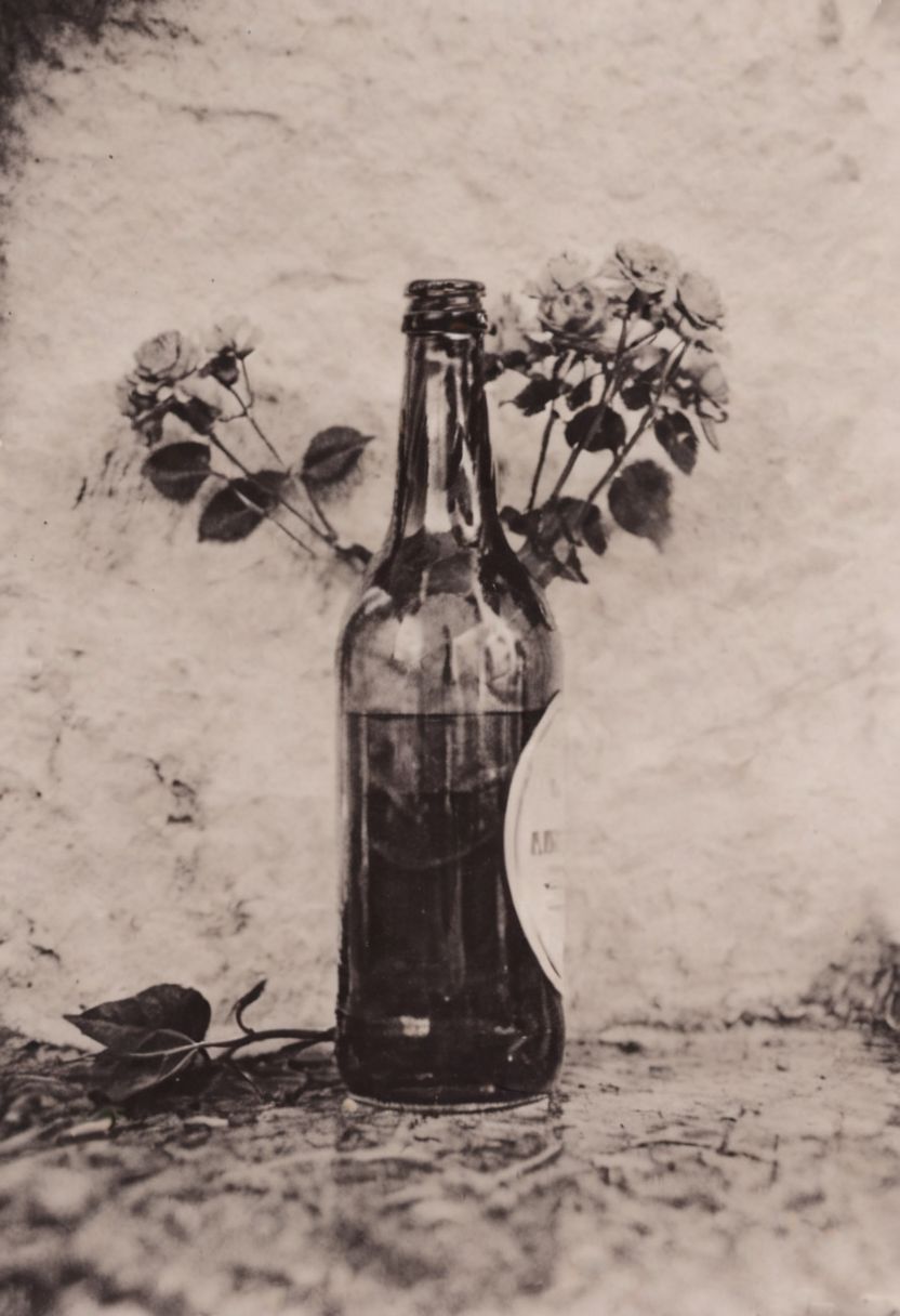 AgfaBroviraSpeedBS310RC2, instagram photo,a bottle with a flower, hard shadows, film grain