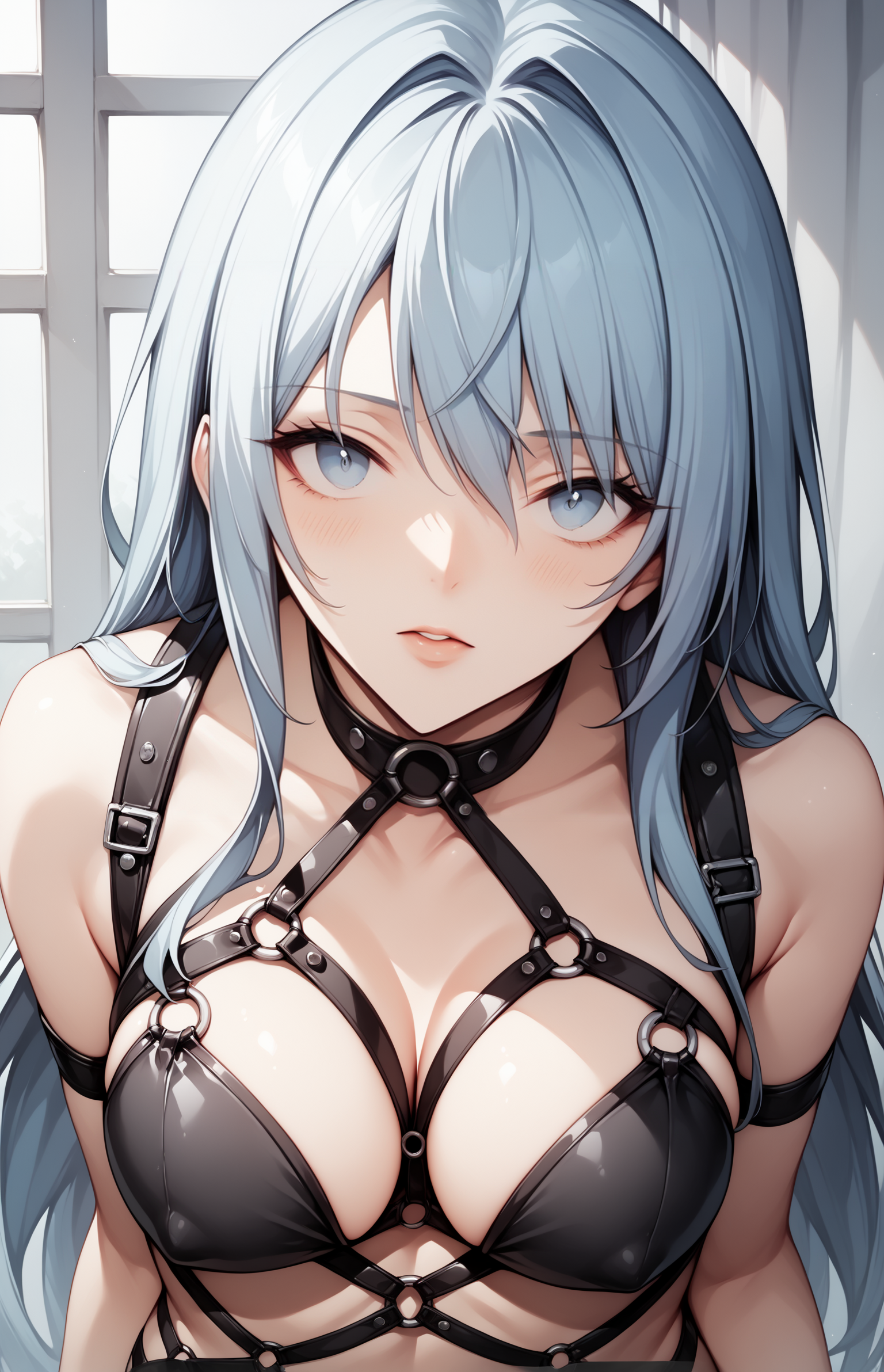 score_9, 1girl, bdsm o-ring harness <lora:harness:1>
