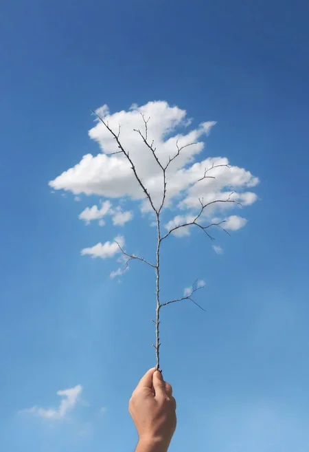 F-B-C, POV, foreground: a hand holding a tree branch , background: clouds , effect: a tree with clouds as leafs